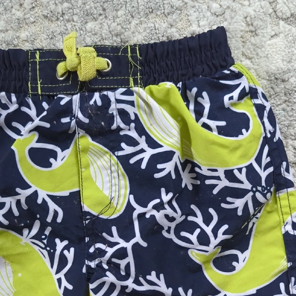 Cabana Life Navy and Lime Swim Shorts